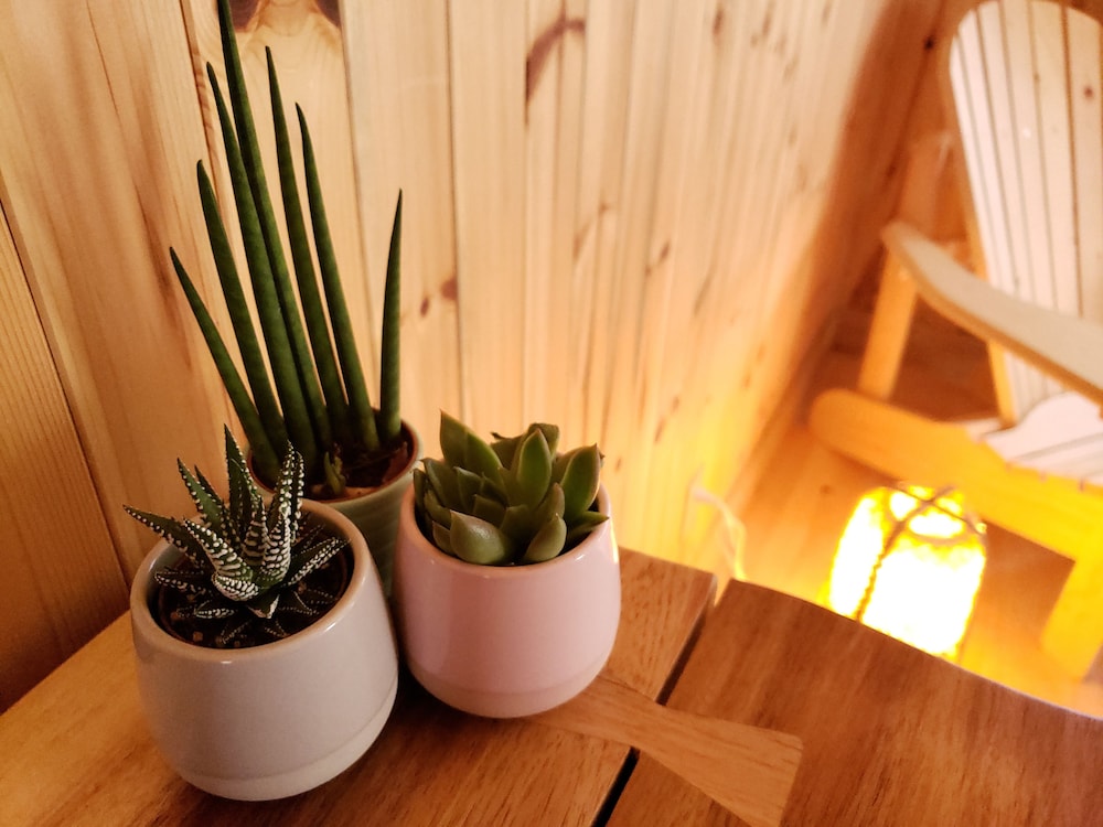 northern bruce peninsula