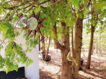 northern bruce peninsula