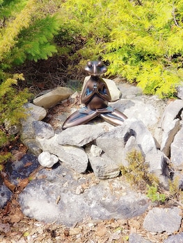 northern bruce peninsula