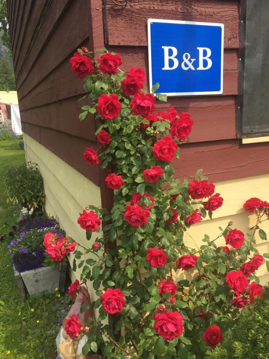 guest house austria