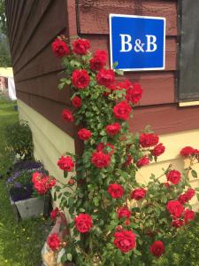 guest house austria