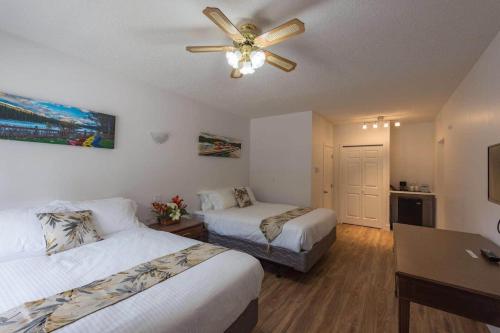 david thompson resort hotel