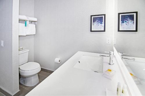 holiday inn hotel and suites calgary airport north by ihg