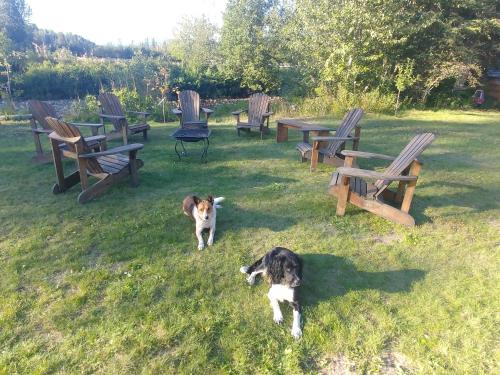 wolfwood guest ranch
