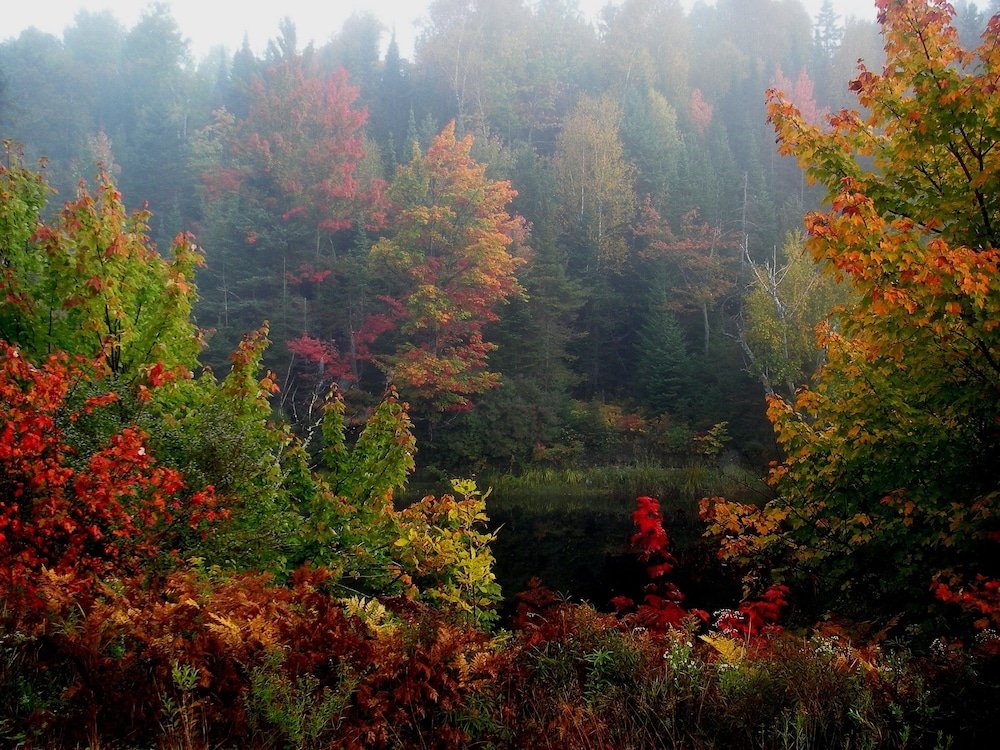 Dominion Hill Country Inn,Digdeguash>>Bocabec,3 star