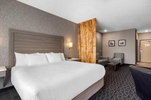 comfort inn and suites