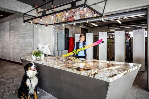 the josie hotel autograph collection