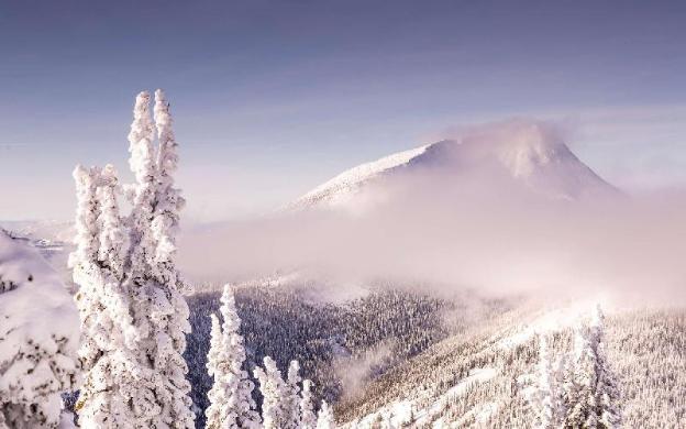 the josie hotel autograph collection