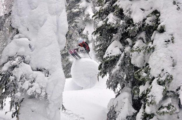 the josie hotel autograph collection