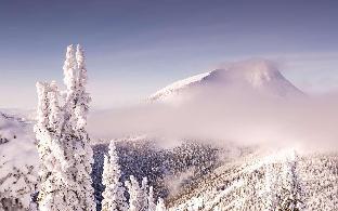 the josie hotel autograph collection