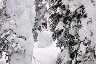 the josie hotel autograph collection