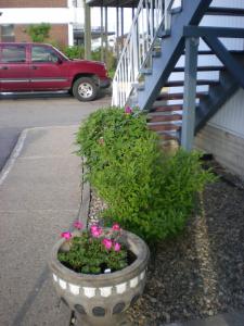 motel seigneurie de vaudreuil
