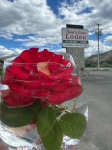 bears claw lodge