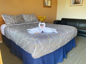 bears claw lodge