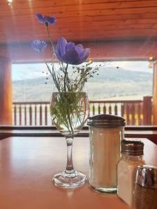 bears claw lodge
