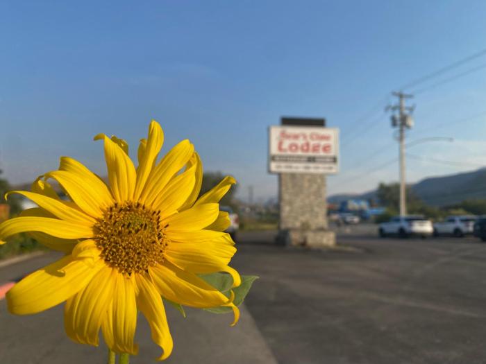 bears claw lodge