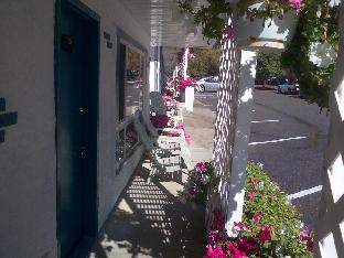 Apple Tree Inn,,3 star