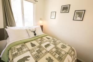 mountain springs motel