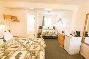 mountain springs motel