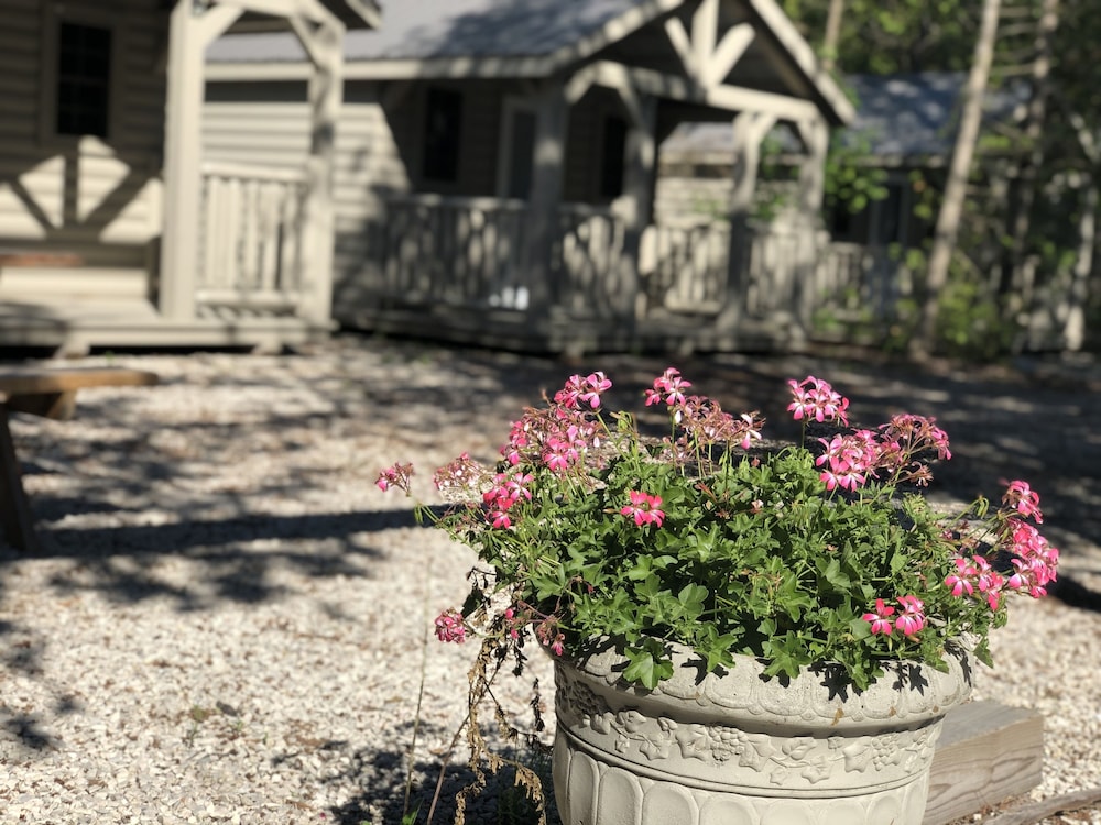 northern bruce peninsula