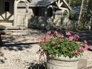 northern bruce peninsula