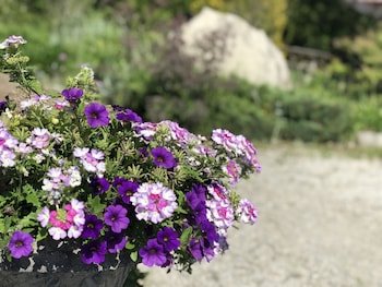 northern bruce peninsula