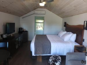 northern bruce peninsula