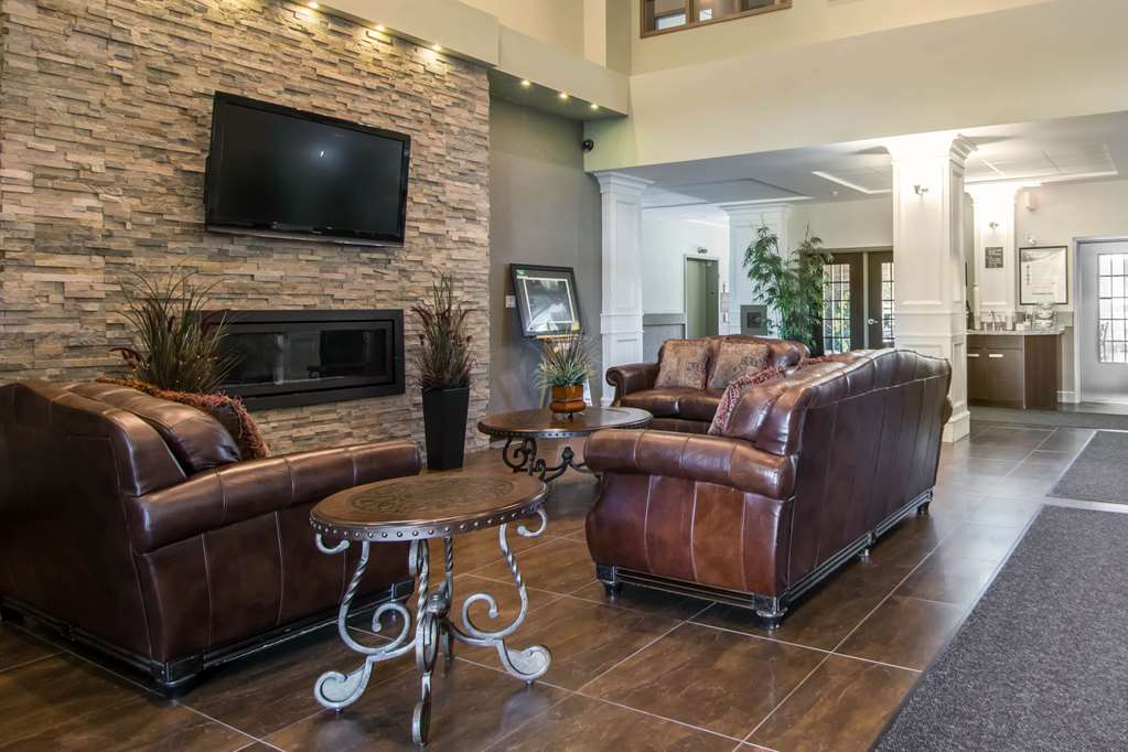 comfort inn and suites