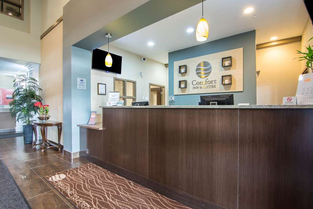 comfort inn and suites