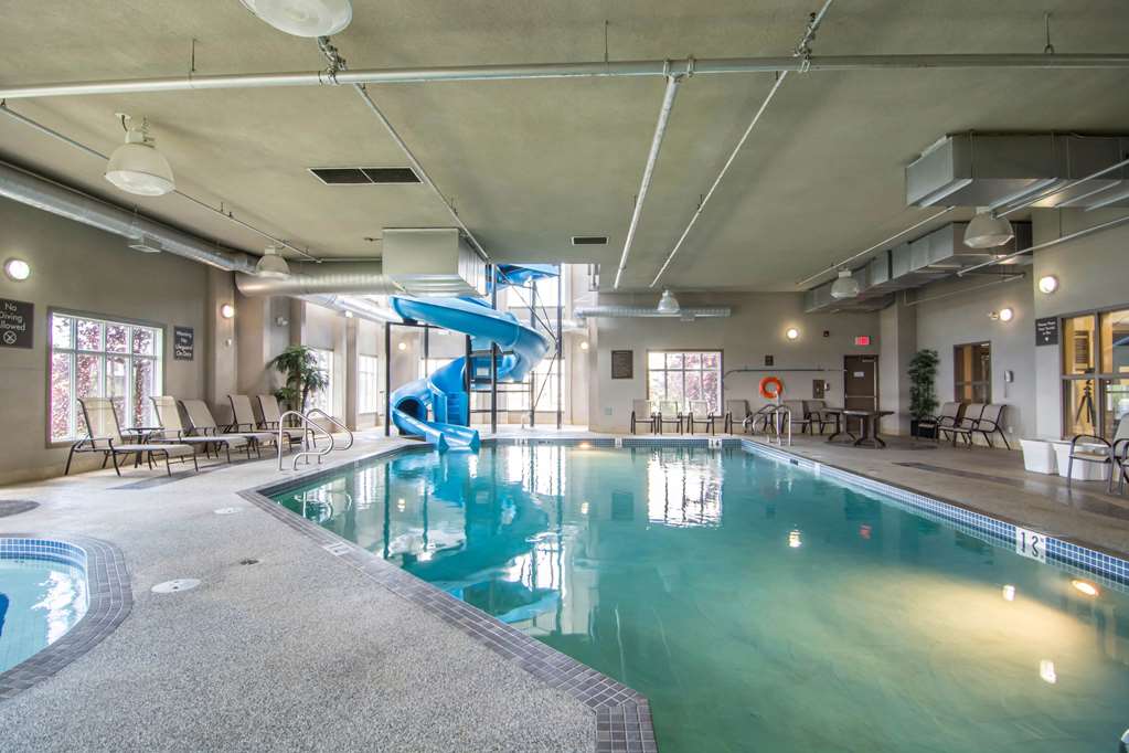 comfort inn and suites