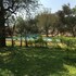 francistown
