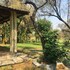 francistown
