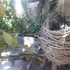 maya guest inn