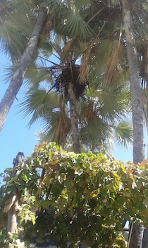 maya guest inn