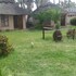 maya guest inn