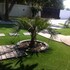 cosy palms guest house