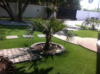 cosy palms guest house