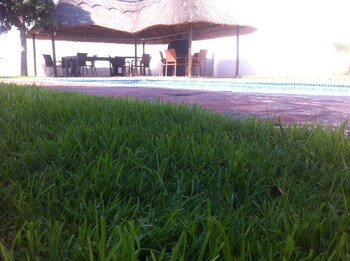 cosy palms guest house