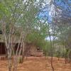 irock lodge