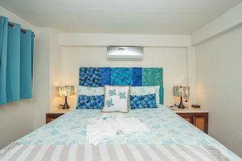 bella vista resort belize