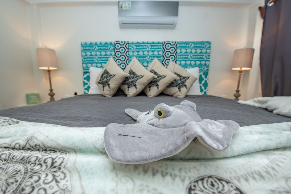 bella vista resort belize