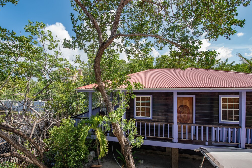 bella vista resort belize