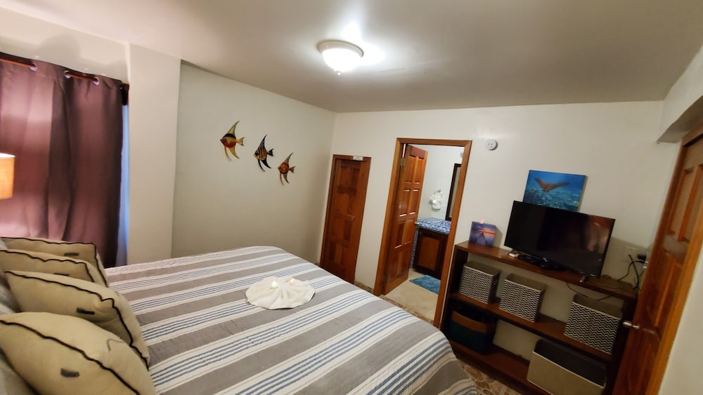 bella vista resort belize