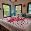 bella vista resort belize