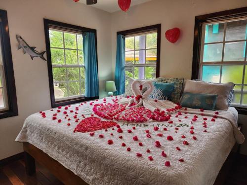 bella vista resort belize