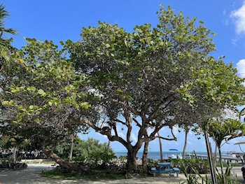 san pedro
