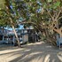 placencia