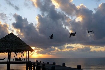 Maya Beach Hotel,Placencia>>Maya Beach,3 star