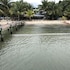 placencia