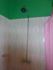 White Rose Lodge,Southern>>Livingstone,3 star